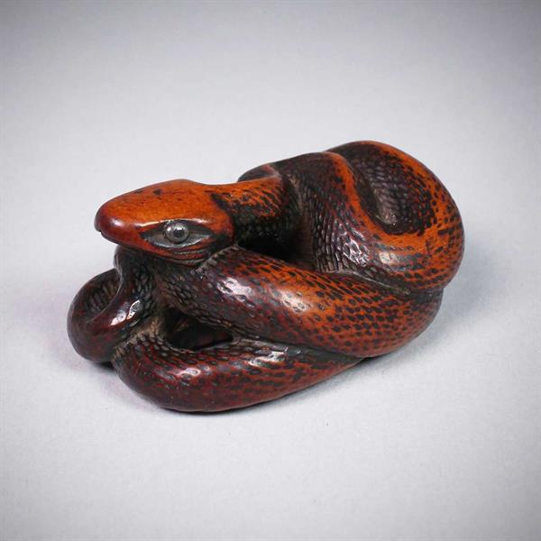 19. Boxwood Netsuke Coiled Snake