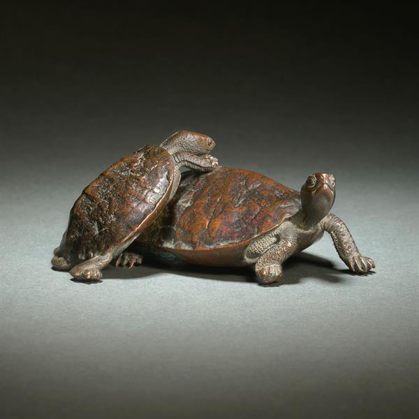 21. Bronze Turtle Group