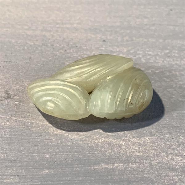 54. Jade Shells