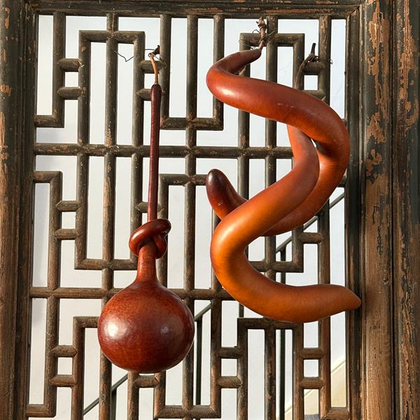 49. Gourds