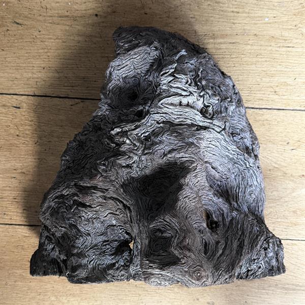 8. Root Sculpture