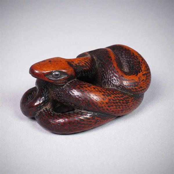 18. Boxwood Netsuke Coiled Snake