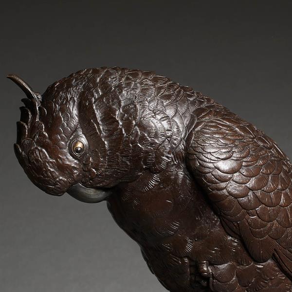 1. Bronze Cockatoo